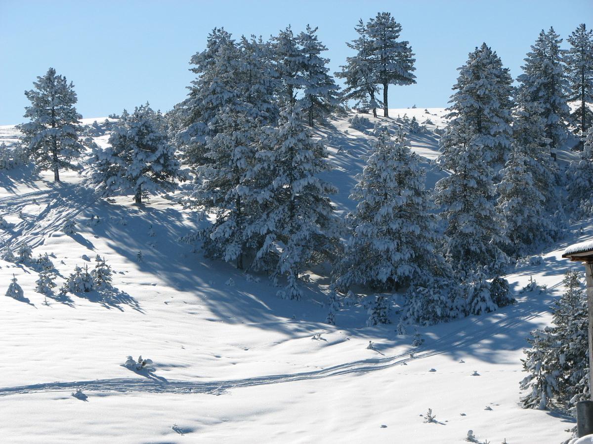 Chalet Four Seasons Zlatibor Exterior foto